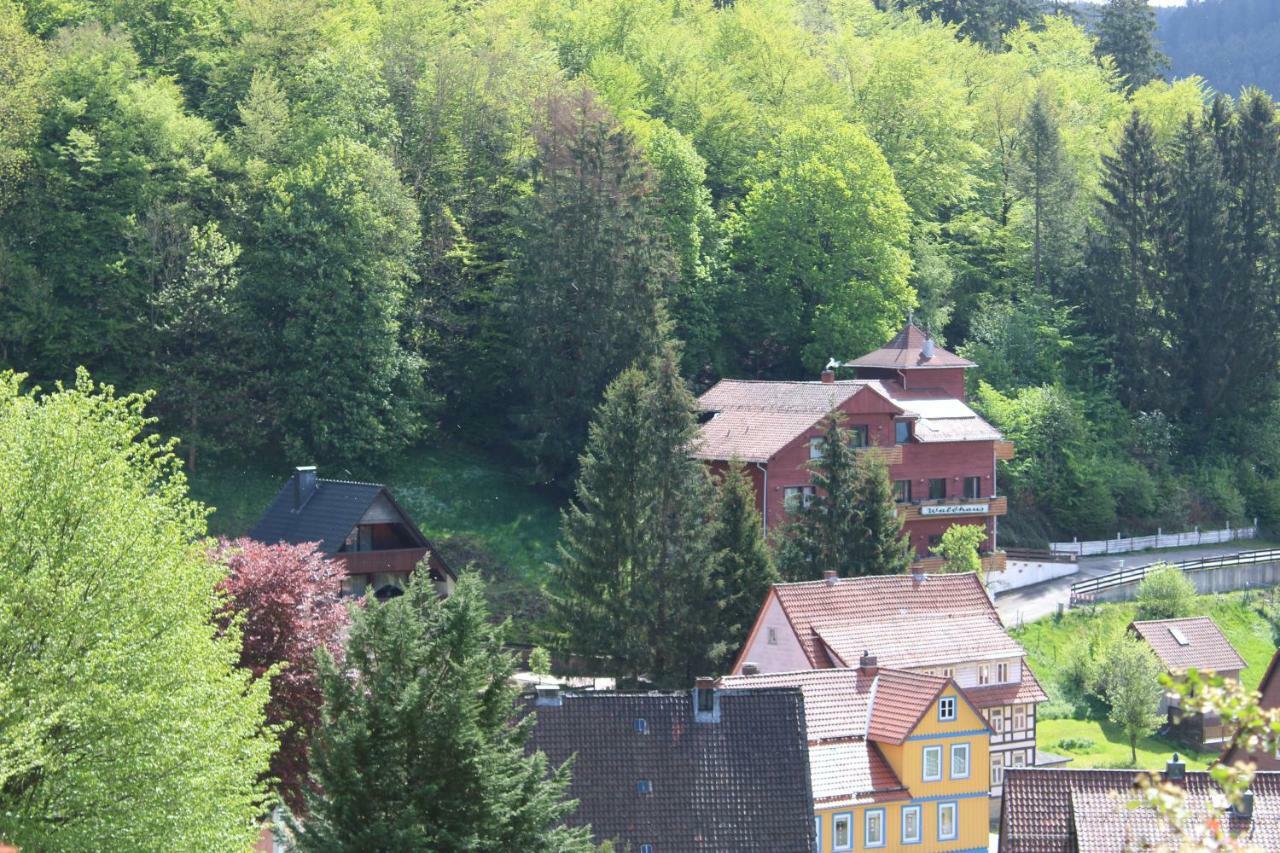 Hotel-Pension Waldhaus Bad Grund Exterior photo